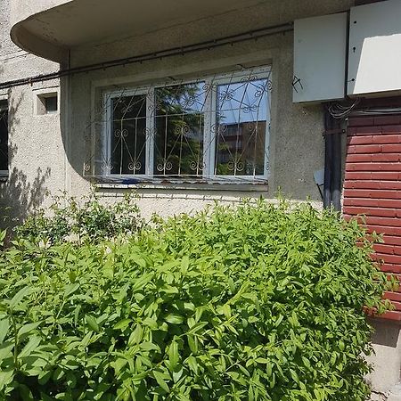 Apartamente Marian 브라쇼브 객실 사진