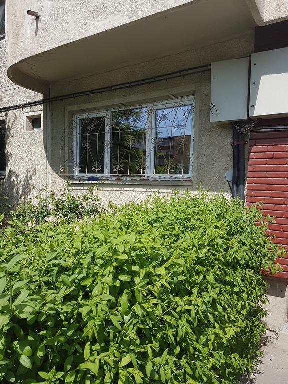 Apartamente Marian 브라쇼브 객실 사진